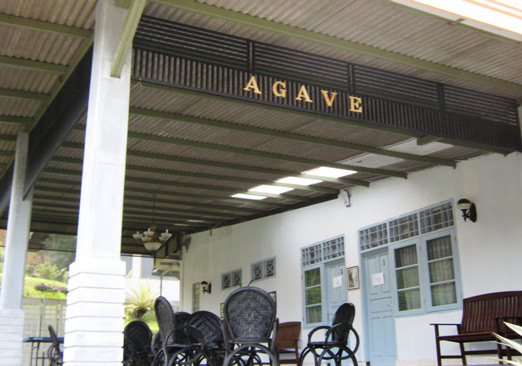 Pondok Agave